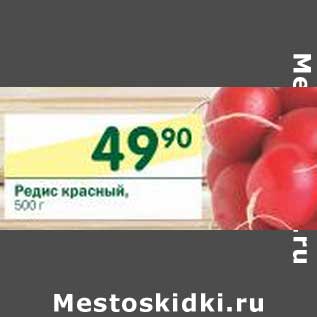 Акция - Редис красный