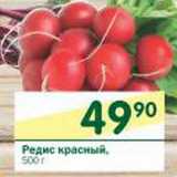 Магазин:Перекрёсток,Скидка:Редис красный 