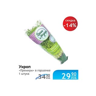 Акция - Укроп
