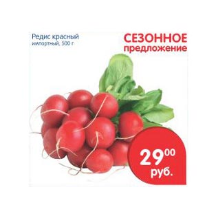 Акция - Редис красный