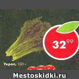 Акция - Укроп