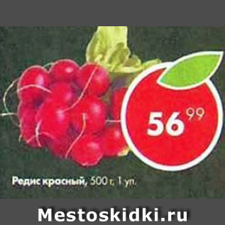 Акция - Редис красный