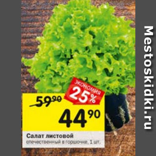 Акция - Салат листовой