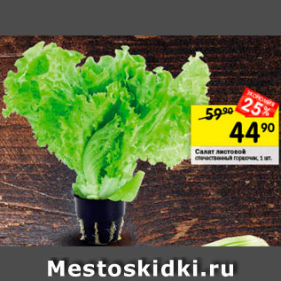 Акция - Салат листовой