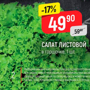 Акция - Салат Листовой