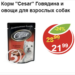 Акция - Корм Cesar