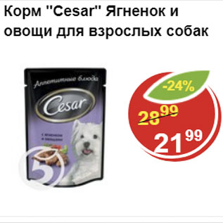 Акция - Корм Cesar Ягненок и овощи