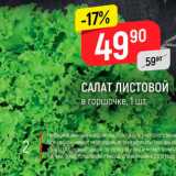 Магазин:Верный,Скидка:Салат Листовой