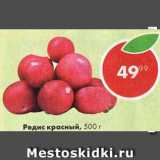 Магазин:Пятёрочка,Скидка:Редис красный