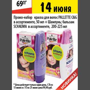 Акция - Промо-набор краска для волос Pallette C&G
