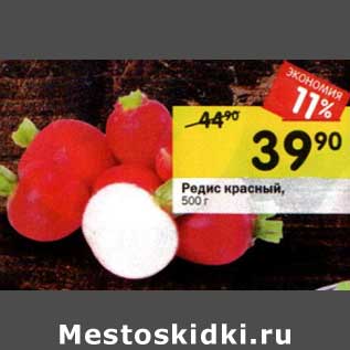 Акция - Редис красный