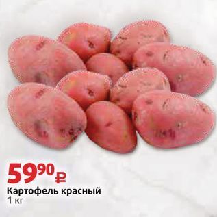 Акция - Картофель красный 1 кг