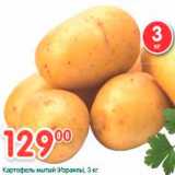 Картофели мытый (Израиль), Вес: 3 кг