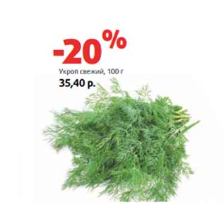 Акция - Укроп свежий,