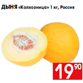 Акция - Дыня «Колхозница» 1 кг, Россия