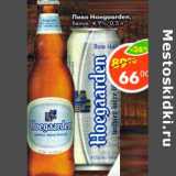 Магазин:Пятёрочка,Скидка:Пиво Hoegaarden белое 4,9%