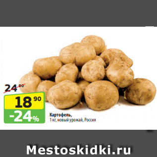 Акция - Картофель, 1 кг, новый урожай, Россия