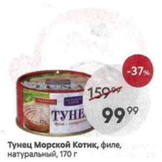 Акция - Тунец Морской Котик