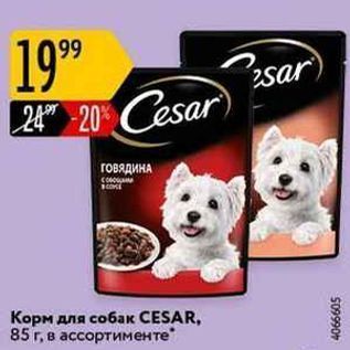 Акция - Корм для собак CESAR