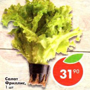 Акция - Салат Фриллис