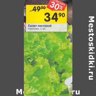 Акция - Салат листовой горошек