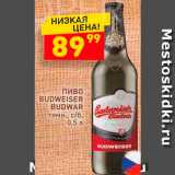 Дикси Акции - Пиво Budweiser