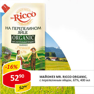 Акция - Майонез Mr.Ricco organic 67%