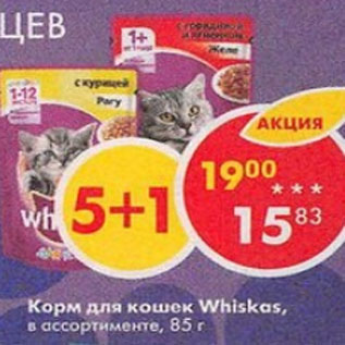 Акция - Корм для кошек Whiskas