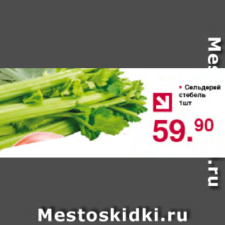Акция - Сельдерей стебель