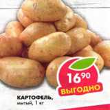 Магазин:Пятёрочка,Скидка:Картофель, мытый