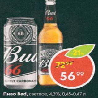 Акция - Пиво Bad 4,3%