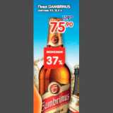 Пиво Gambrinus