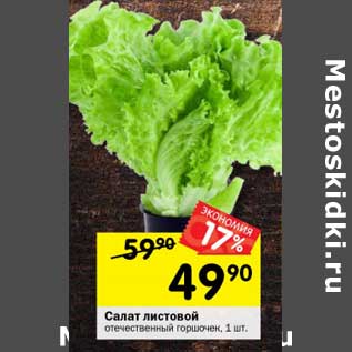 Акция - Салат листовой отечественный горошек