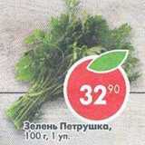 Магазин:Пятёрочка,Скидка:Зелень Петрушка 