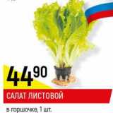 Магазин:Верный,Скидка:Салат листовой 