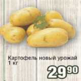 Реалъ Акции - Картофель новый урожай