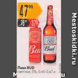 Карусель Акции - Пиво BUD 5%