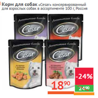 Акция - Корм для собак «Cesar» Россия