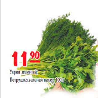 Акция - Укроп зеленый, Петрушка зелёная пакет 100г