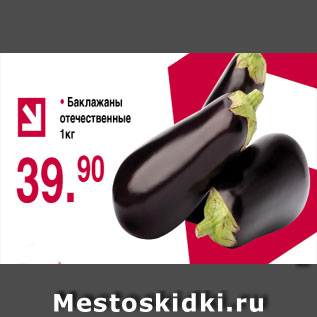 Акция - Баклажаны оточественные
