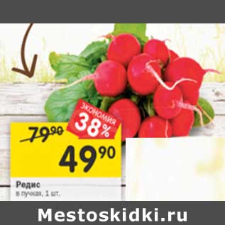 Акция - Редис в пучках