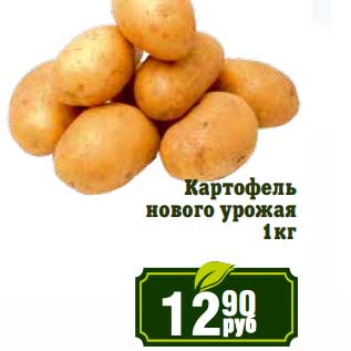 Акция - Картофель нового урожая