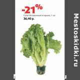 Магазин:Виктория,Скидка:Салат Витаминный в горшке