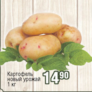 Акция - Картофель новый урожай