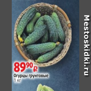 Акция - Огурцы грунтовые 1 кг