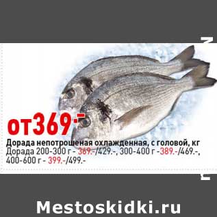 Акция - Дорадо непотрошеная охлажденная с головой 1 кг- 369,00 руб / Дорадо 200-300 г - 369,00 руб /300-400 г - 389,00 руб / 400-600 г - 399,00 руб