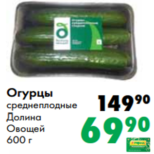 Акция - Огурцы среднеплодные Долина Овощей 600 г