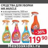 Selgros Акции - Средства для дома Mr. Muscle