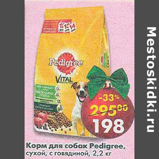 Акция - Корм для собак Pedigree сухой с говядиной