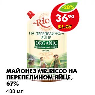 Акция - МАЙОНЕЗ MR. RICCO НА ПЕРЕПЕЛИНОМ ЯЙЦЕ, 67%